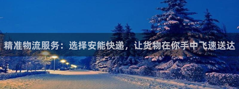 28圈注册与教程：精准物流服务：选择