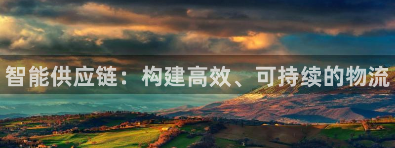28圈下载体育：智能供应链：构建高效