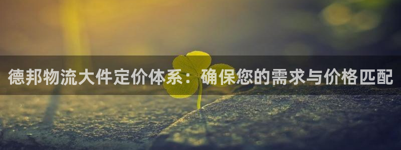 28圈龙虎：德邦物流大件定价体系：确