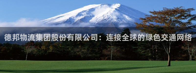 28圈在线预测官网：德邦物流集团股份