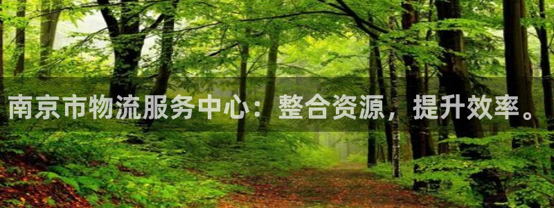 麻将128圈：南京市物流服务中心：整