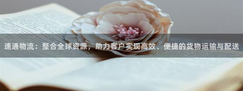 28圈充值不到账：速通物流：整合全球