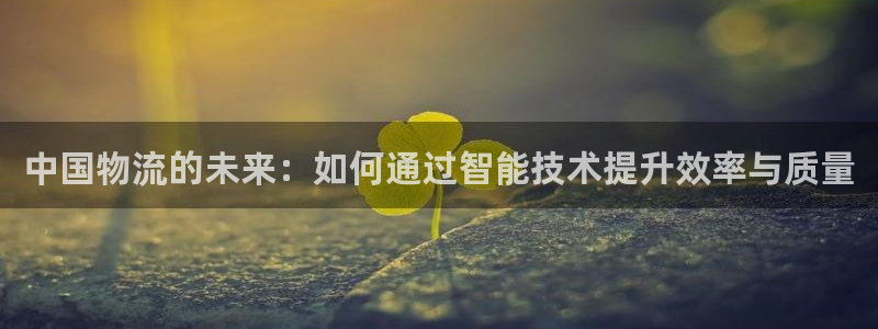 28圈登录网：中国物流的未来：如何通