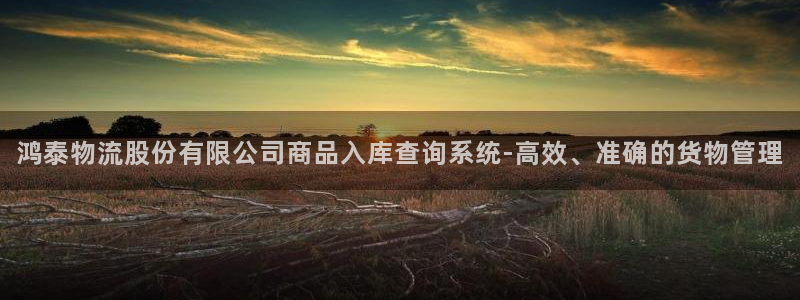 28圈下载体育：鸿泰物流股份有限公司