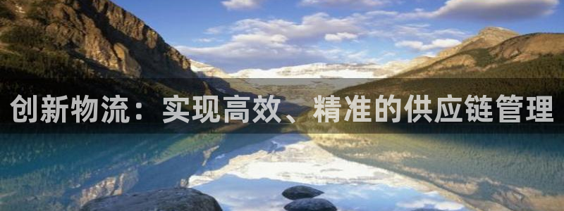 麻将128圈：创新物流：实现高效、精