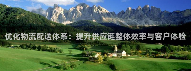28圈忘记账号：优化物流配送体系：提