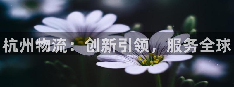 28圈哪个最赚钱：杭州物流：创新引领