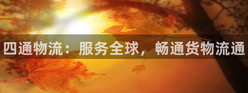 28圈怎么注册：四通物流：服务全球，