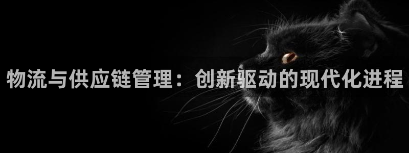 28圈充值方式