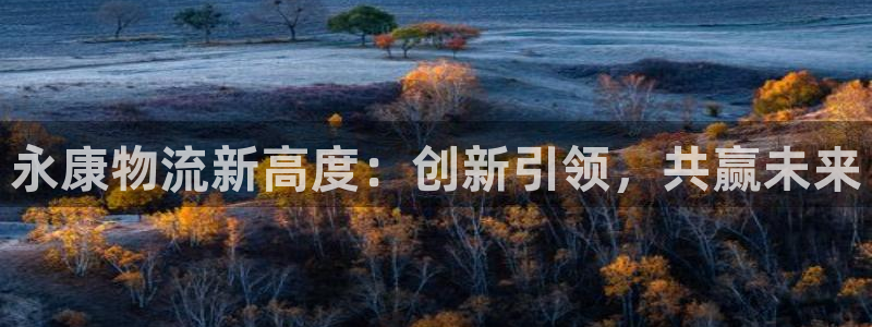 28圈能退款吗：永康物流新高度：创新引领，共赢未来