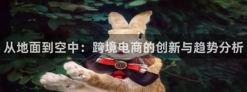 28圈.ccm2024