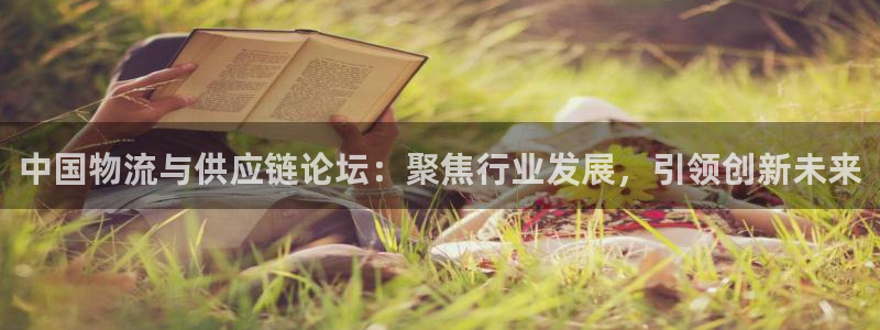 28圈网赌案件