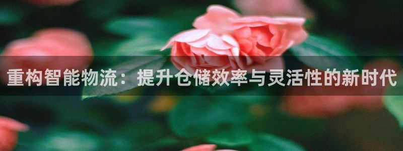 28圈激活码