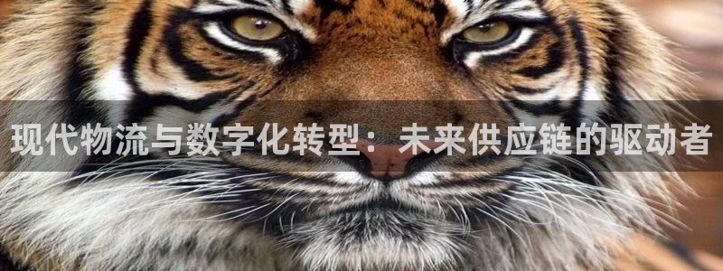 28圈怎么申请代理