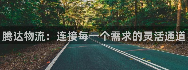 28圈官方版正版