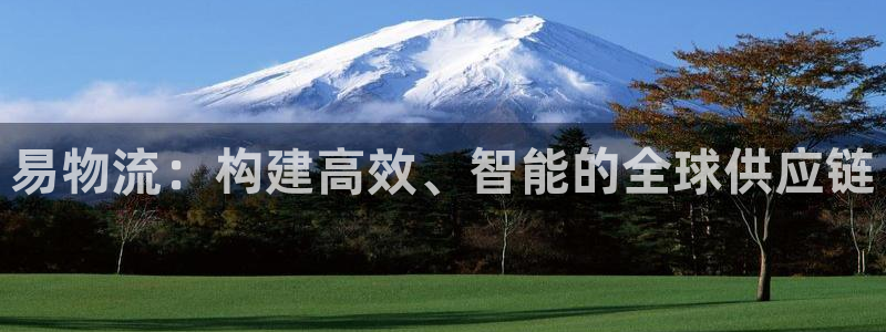 28圈.ccmpc28：易物流：构建高效、智能的全球供应链