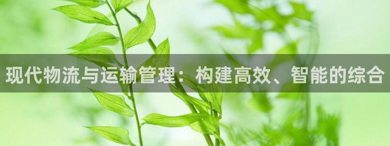 28圈是干嘛的：现代物流与运输管理：