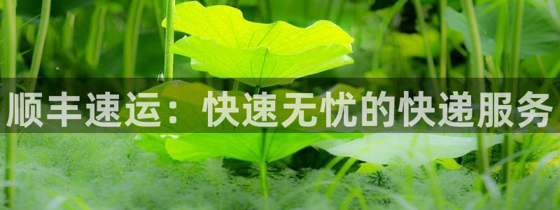 28圈怎么下载不了：顺丰速运：快速无忧的快递服务