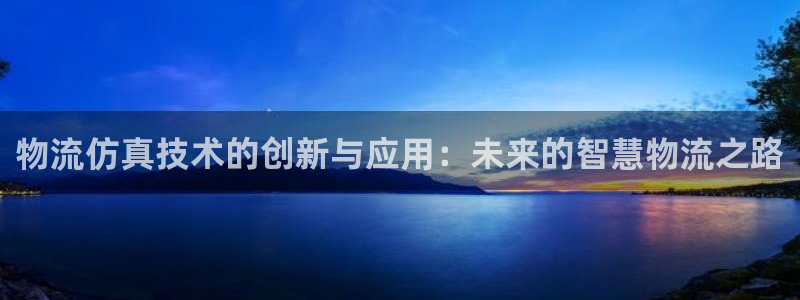 28圈预测加拿大师准：物流仿真技术的
