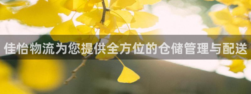 28圈官网版下载