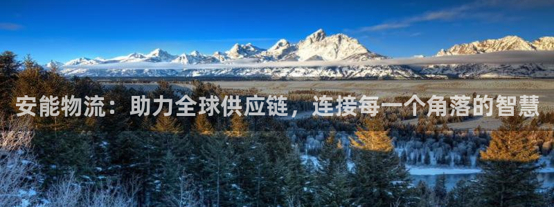 28圈注册网站加拿大：安能物流：助力