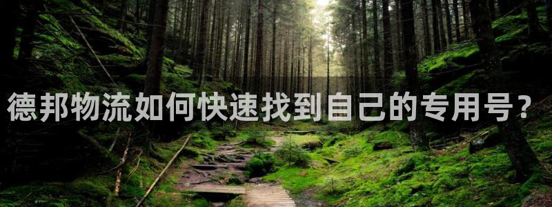 28圈官网平台