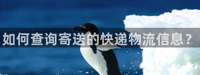 加拿大28圈是什么