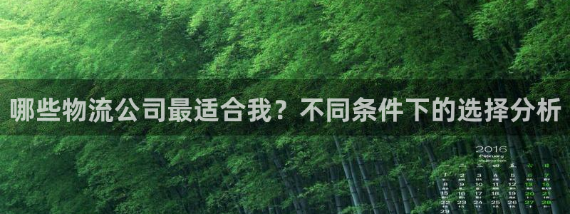 28圈退款