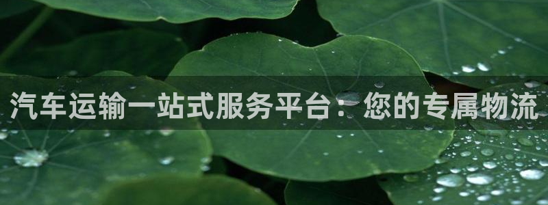 28圈官网版下载：汽车运输一站式服务