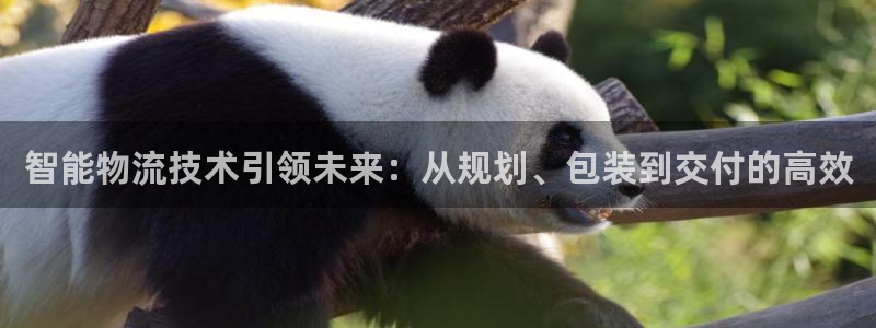 28圈预测加拿大师准：智能物流技术引
