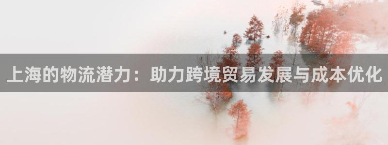 28圈口：上海的物流潜力：助力跨境贸