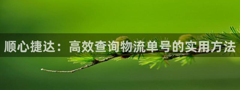 28圈注册网站多少钱：顺心捷达：高效