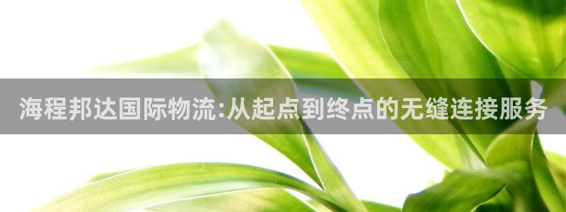 28圈加拿大走势：海程邦达国际物流: